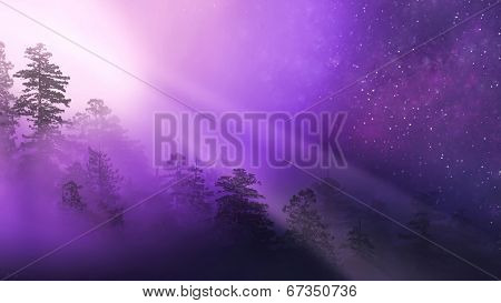 Purple night