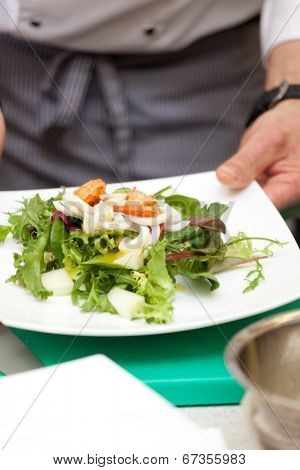 salad with shrips