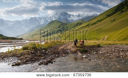 Hikers In Caucasus Mountains Of Zemo (upper) Svaneti, Georgia