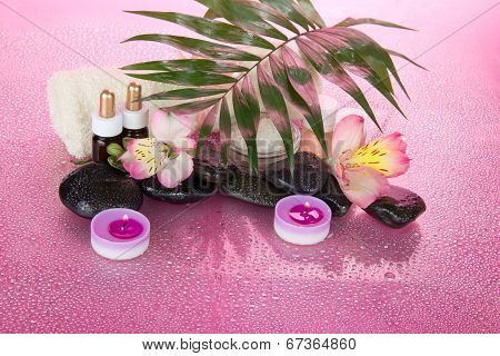 Howea, aromatic oil, salt, candles and stones