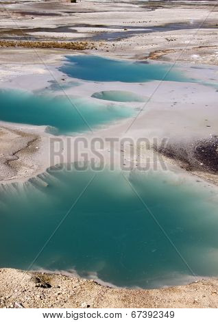 Norris basin Geysers in Yellowstone national park