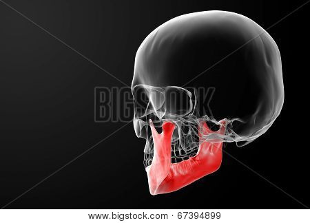 jaw bone