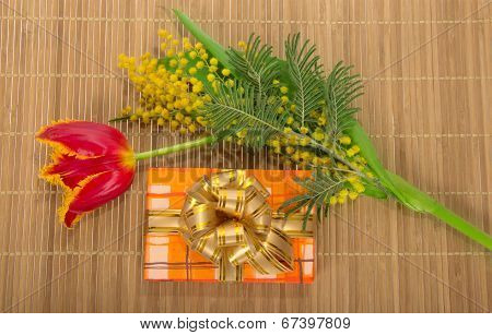 Tulip, mimosa and gift