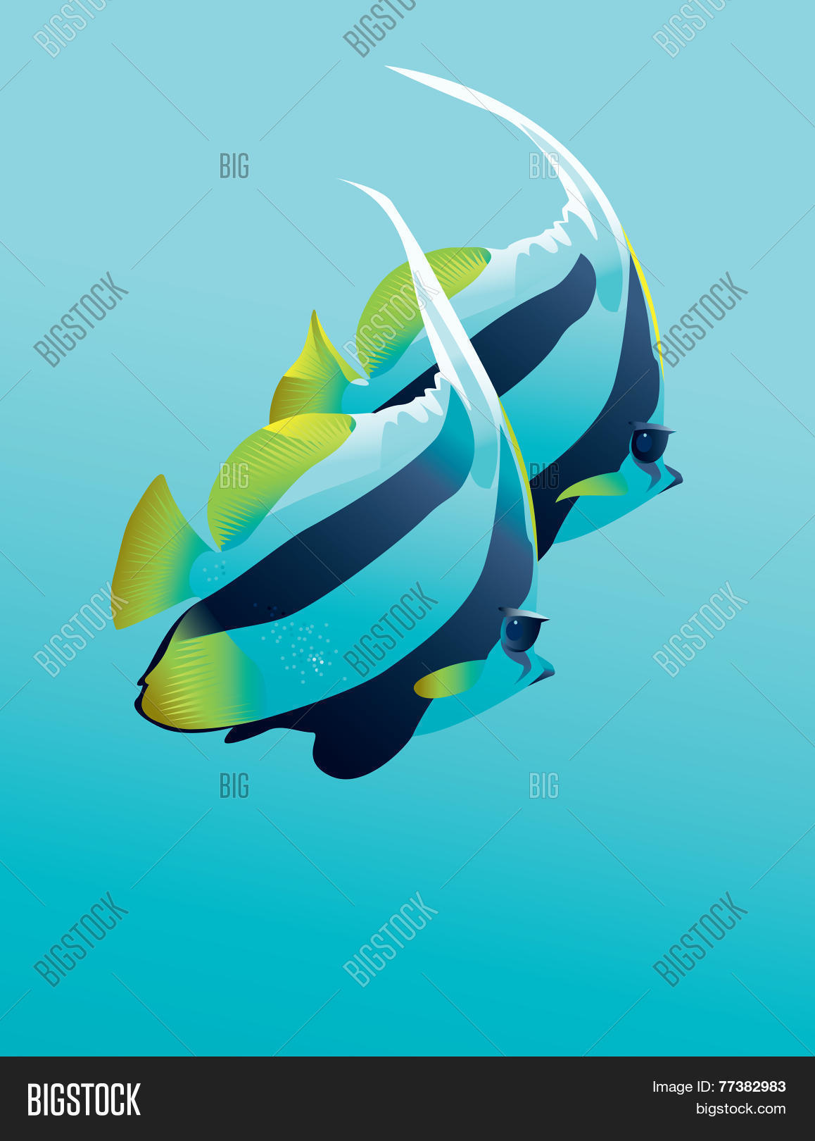 Image Preview