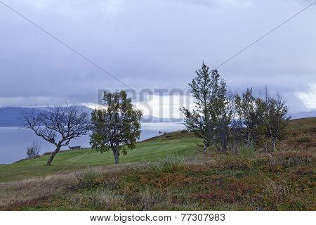 Golf Course in the mountain.