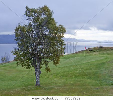 Golf Course in the mountain.