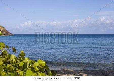 paraíso de Crystal cove