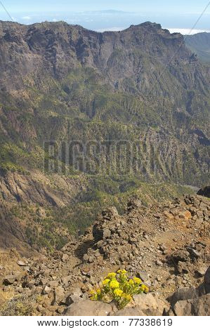 Volcanic Landscape In La Palma. Caldera De Taburiente. Spain