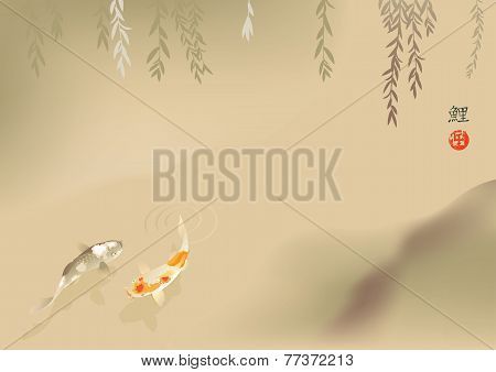 Koi carp