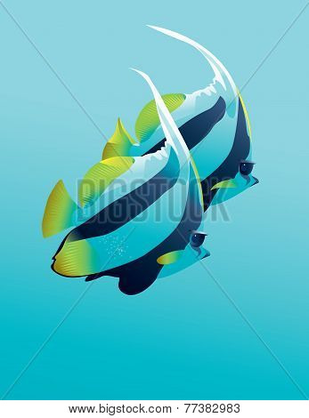 Banner fish