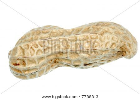 Peanut