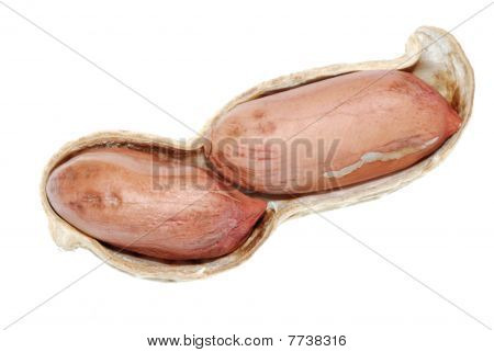 peanut