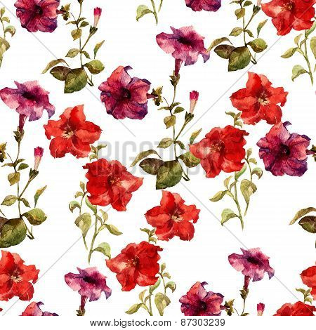 Petunia flower pattern