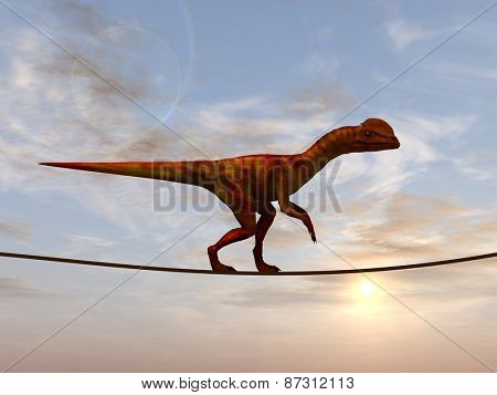 Concept or conceptual abstract business metaphor as wild heavy dinosaurus balancing on rope over sunset sky background