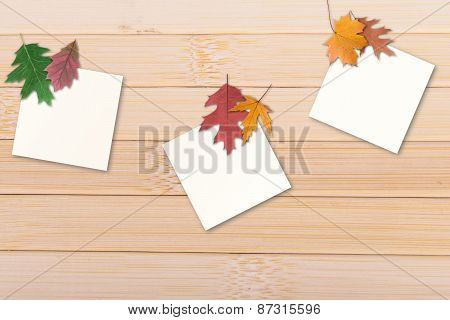 Autumn Leaves With Paper