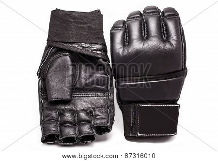 Gloves For Mma On A White Background