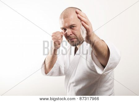 Martial arts. Fighter on a light background