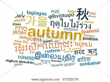 Background concept wordcloud multilanguage international many language illustration of translation autumn