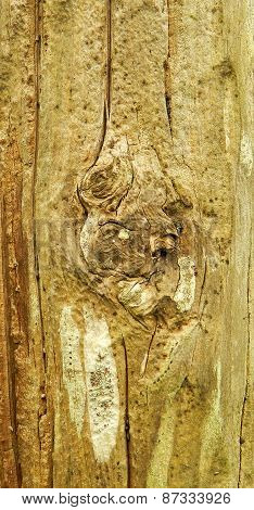 brown wooden texture