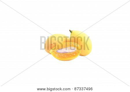 marian plum
