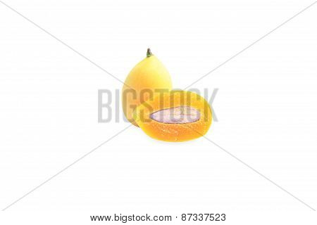 marian plum