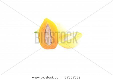 marian plum