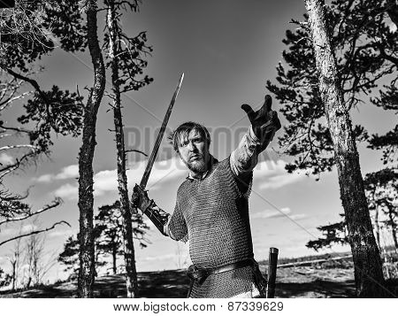Viking Warrior