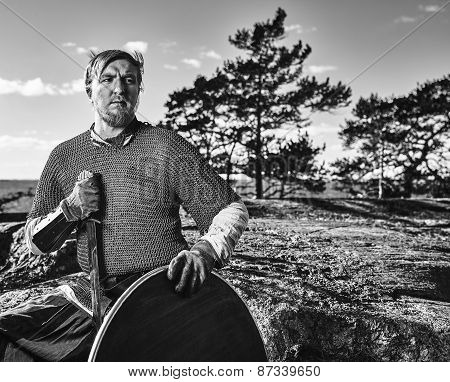 Viking Warrior