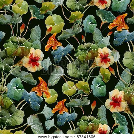 Nasturtium pattern