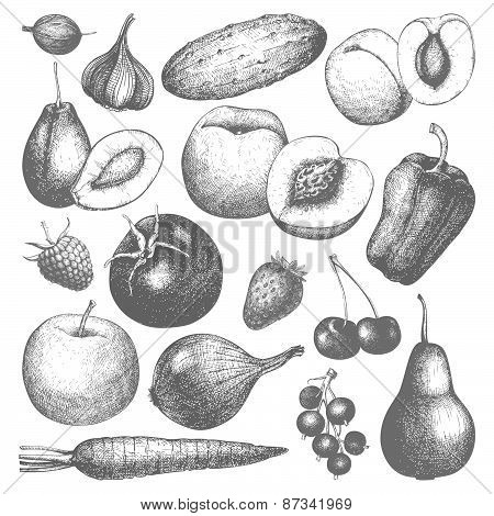 vegetables, fruits and berries  sketch