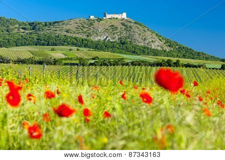 ruins of Devicky Castle with vineyards, Czech Republic