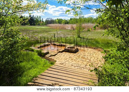 Emperor's spring, nature reserve called Soos, Czech Republic