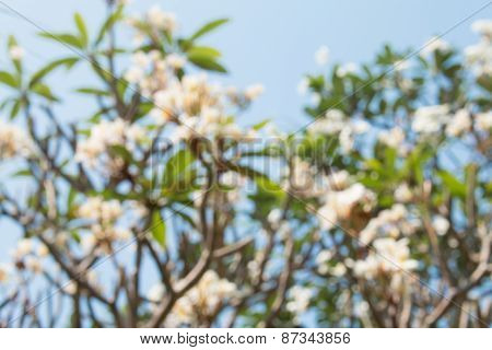 Abstract Nature Background