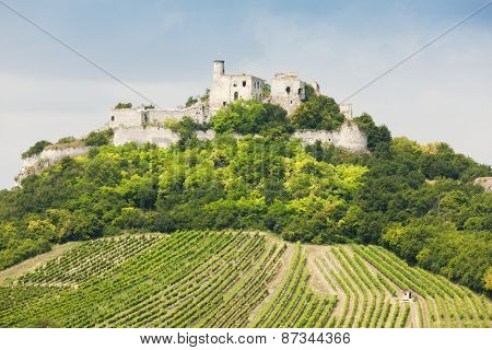 ruins of Falkenstein Castle with vineyard, Lower Austria, Austria