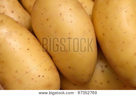 Raw freshness yellow Potatoes
