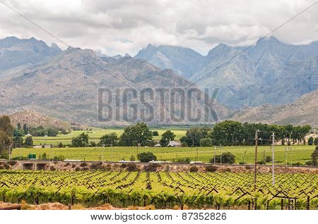 View Of Vineyards And Mountains In The Hex River Valley