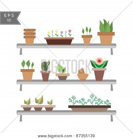 Set Of House Plants In Pots On The Shelves
