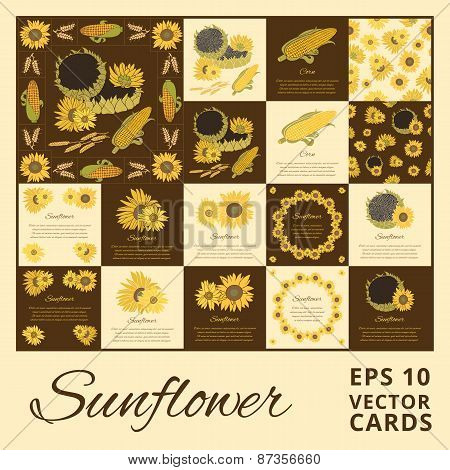 Sunflower Vector Greeting Card Set On The Bright Background