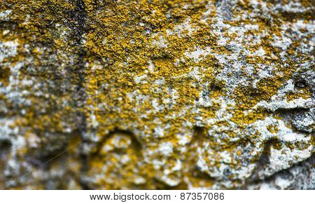 Moss-grown Surface Of The Old Stone Cross
