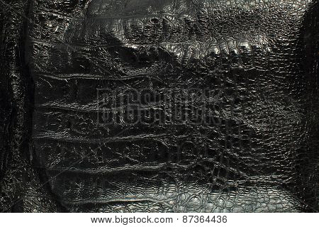 leather background