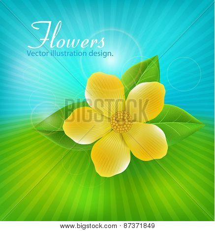 yellow flower with green leaves
