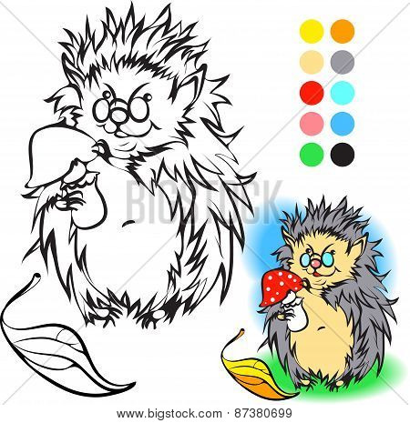 Hedgehog Coloring book