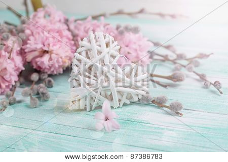 Postcard With Hyacynths, Willow Flowers And Heart