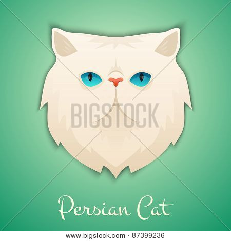 Persian cat