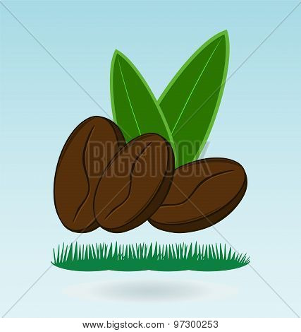 Coffee Bean Natural, Grass Concept