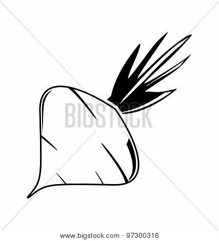 Fresh Delicious  Beet With Leaves On White Background