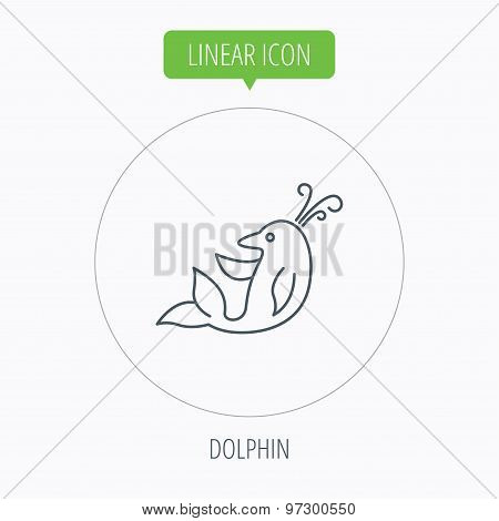 Dolphin icon. Cetacean mammal sign.