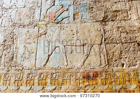 Wall Paintings In Temple Of Hatshepsut In Egypt