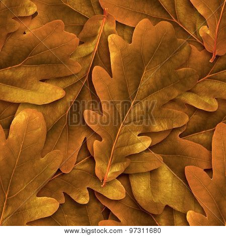 Seamless oak abscissed leafs background.