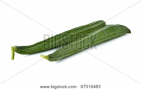 Fresh Angled Loofah, Gourd With Stem On White Background